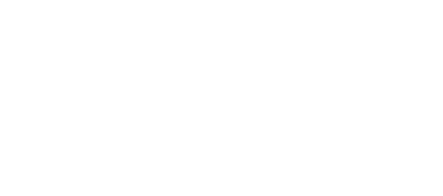Vip Oto Yıkama